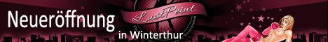 119 VILLA LUSTPOINT - WINTERTHUR